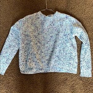 Blue Pink Rose Sweater